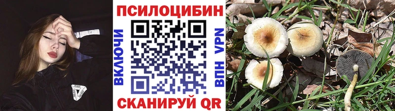 купить  сайты  Надым  Псилоцибиновые грибы GOLDEN TEACHER 